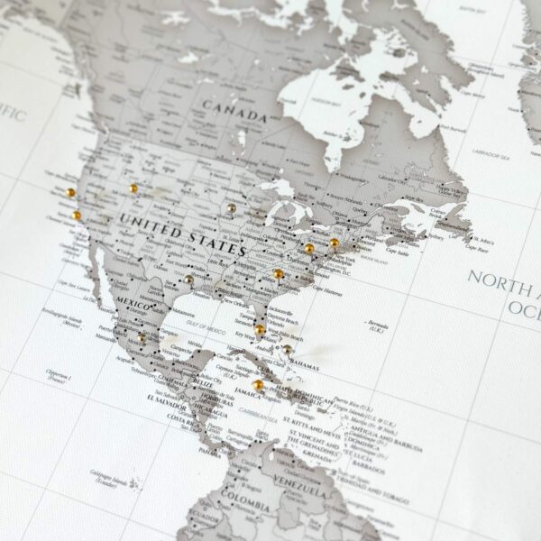 Tableau Carte du Monde - Continents Gris – Image 5